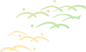 包むデザインイメージ